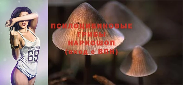 крисы Беломорск